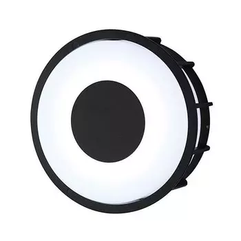 Настенно потолочный светильник L&apos;Arte Luce TELMA L78056.31