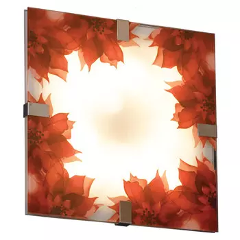 Настенно потолочный светильник Lussole Cascano LSN-5262-01