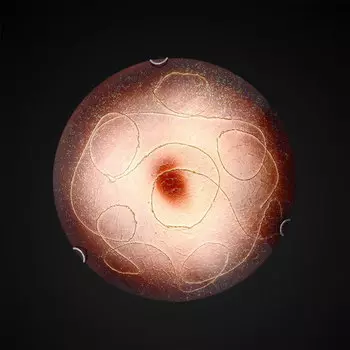 Настенно потолочный светильник Максисвет 1-5710-3-WH E27