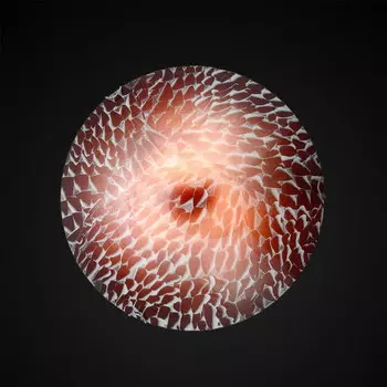 Настенно потолочный светильник Максисвет 1-5750-3-WH E14