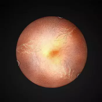 Настенно потолочный светильник Максисвет 1-5760-3-WH E14