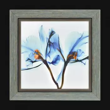 Настенно потолочный светильник Максисвет 3-0014-GY-LED