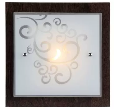 Настенно потолочный светильник Maytoni Constanta CL811-01-R