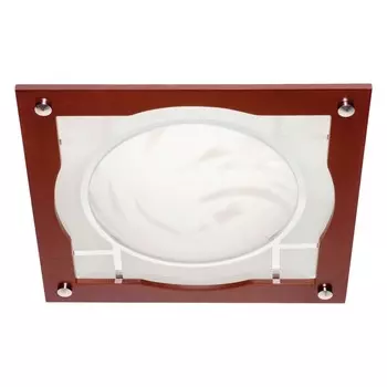 Настенно потолочный светильник MW Light Чаша 2020803