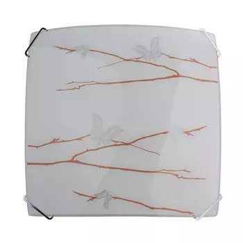 Настенно потолочный светильник MW Light Васто 368011102