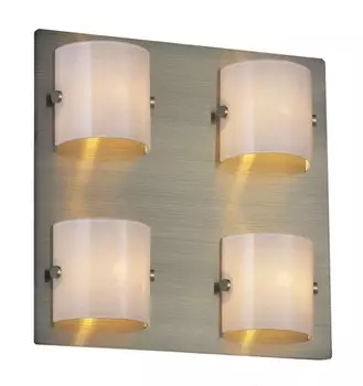 Настенно потолочный светильник Odeon Light 2173/4C