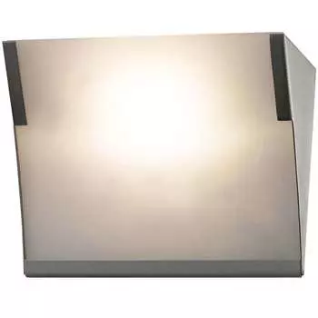 Настенно потолочный светильник Odeon Light ANEL 2020/1W