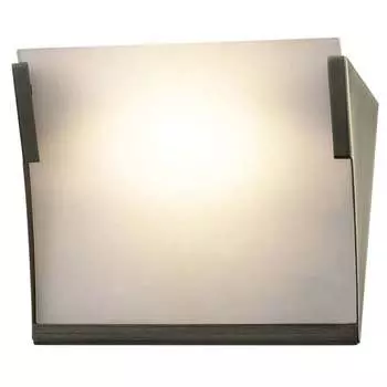 Настенно потолочный светильник Odeon Light ANEL 2021/1W