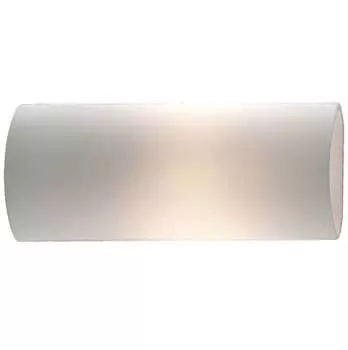 Настенно потолочный светильник Odeon Light DION 2042/1W
