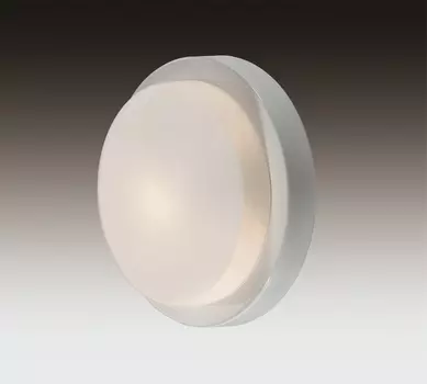 Настенно потолочный светильник Odeon Light Holger 2745/1C
