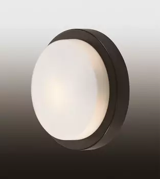 Настенно потолочный светильник Odeon Light Holger 2744/1C