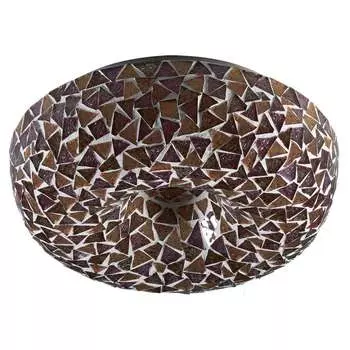 Настенно потолочный светильник Odeon Light MONE 2116/2C