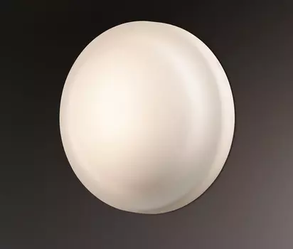 Настенно потолочный светильник Odeon Light Tavoty 2760/1C