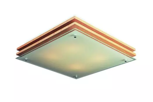 Настенно потолочный светильник Omnilux Caldelas OML-40217-04