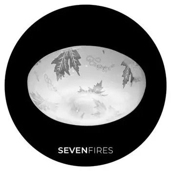 Настенно потолочный светильник Seven Fires Эйри 45100.23.18.64