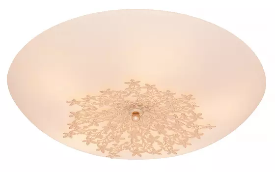 Настенно потолочный светильник SilverLight Verbena 835.50.5