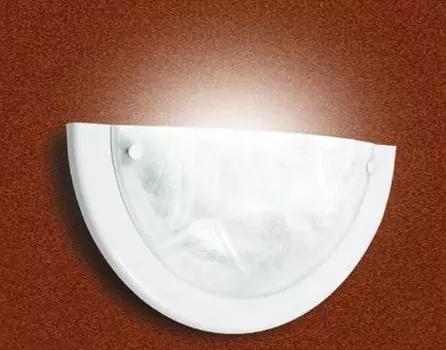 Настенно потолочный светильник Sonex 020