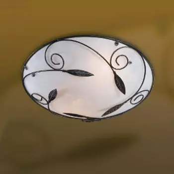 Настенно потолочный светильник Sonex 1222