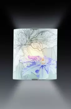 Настенно потолочный светильник Sonex 1230/A