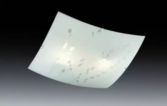 Настенно потолочный светильник Sonex 2228