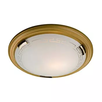 Настенно потолочный светильник Sonex 238