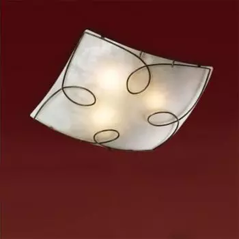 Настенно потолочный светильник Sonex 4219