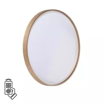 Настенно потолочный светильник Sonex Gaby 7783/EL