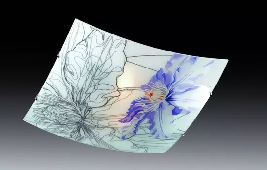 Настенно потолочный светильник Sonex IRIS 2230