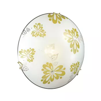 Настенно потолочный светильник Sonex KURTISA 124/K