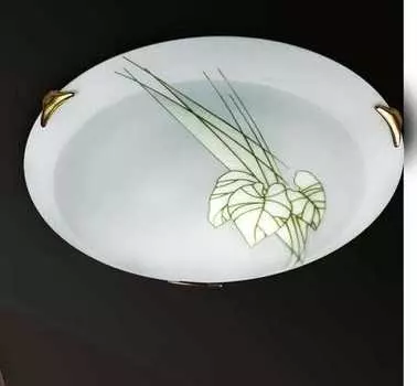 Настенно потолочный светильник Sonex LIST 248