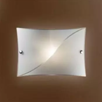 Настенно потолочный светильник Sonex Oliver Light 1203