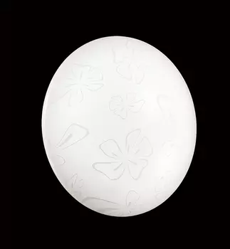 Настенно потолочный светильник Sonex Pirula 2027/A