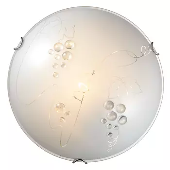 Настенно потолочный светильник Sonex Traube 204/DL