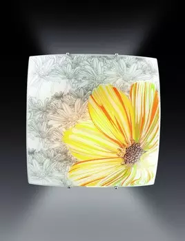 Настенно потолочный светильник Sonex TREZA 1234