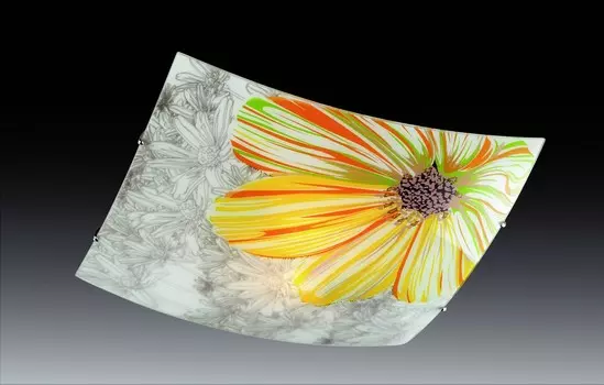 Настенно потолочный светильник Sonex TREZA 2234