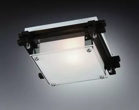 Настенно потолочный светильник Sonex TRIAL VENGUE 1241V