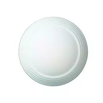Настенно потолочный светильник ST Luce SL506.552.02
