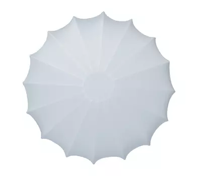 Настенно потолочный светильник TopDecor Muse Muse AP4 10 01s