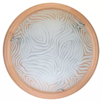 Настенно потолочный светильник Toplight Agatha TL9260Y-00PN