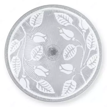 Настенно потолочный светильник Toplight Alexandra TL9121Y-02WH