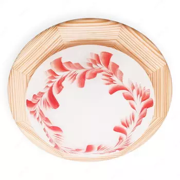 Настенно потолочный светильник Toplight Arialda TL9501Y-01PN