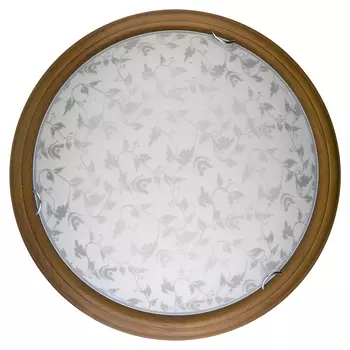 Настенно потолочный светильник Toplight Beatrice TL9280Y-00OA