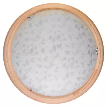 Настенно потолочный светильник Toplight Beatrice TL9280Y-00PN