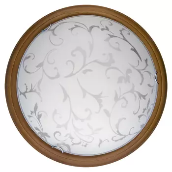 Настенно потолочный светильник Toplight Daniela TL9530Y-00OA