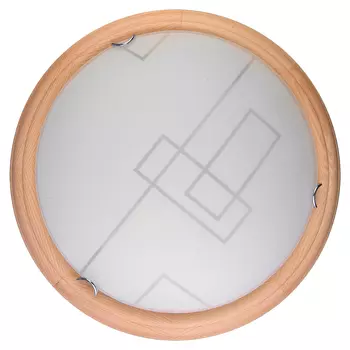 Настенно потолочный светильник Toplight Debora TL9540Y-00PN