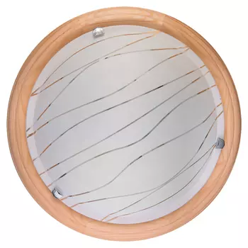 Настенно потолочный светильник Toplight Gabrielle TL9610Y-00PN