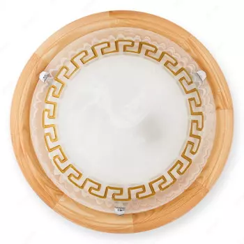 Настенно потолочный светильник Toplight Gien TL9173Y-02PN