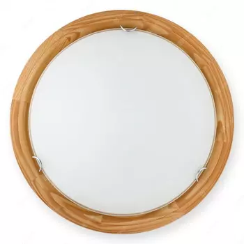 Настенно потолочный светильник Toplight Hillary TL9023Y-02PN