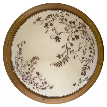 Настенно потолочный светильник Toplight Irene TL9630Y-00OA