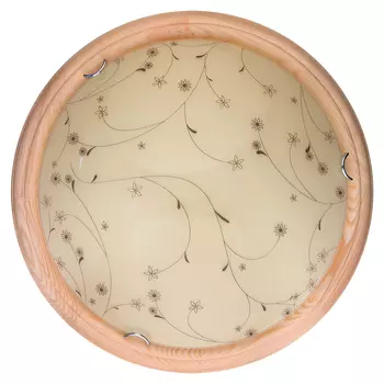 Настенно потолочный светильник Toplight Karissa TL9650Y-00PN